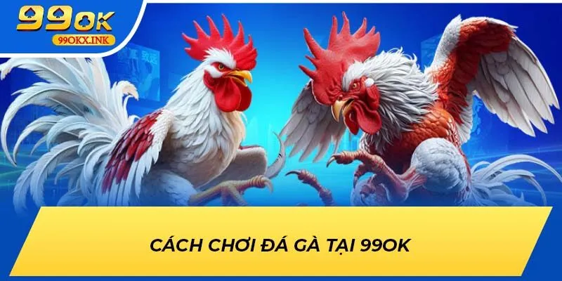 Cách chơi đá gà tại 99OK